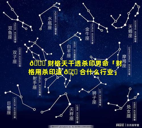 🐈 财格天干透杀印男命「财格用杀印适 🦉 合什么行业」